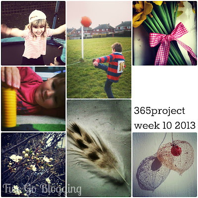 Fivegoblogging 365project week 10 2013