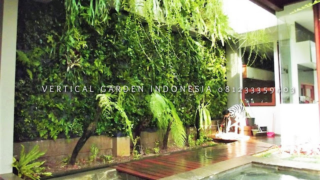 VERTICAL GARDEN INDONESIA SPESIALIS JASA PEMBUATAN VERTICAL GARDEN DI BANYUMAS JAWA TENGAH DAN DI SELURUH WILAYAH JAWA TENGAH DENGAN TENAGA YANG PROFESIONAL DAN DAPAT DI PERCAYA YANG SELALU MENGUTAMAKAN SEBUAH MUTU DAN KUALITAS PEMASANGAN VERTICAL GARDEN/TAMAN DINDING, JASA TUKANG TAMAN VERTICAL BANYUMAS JAWA TENGAH, JASA VERTICAL GARDEN BANYUMAS JAWA TENGAH