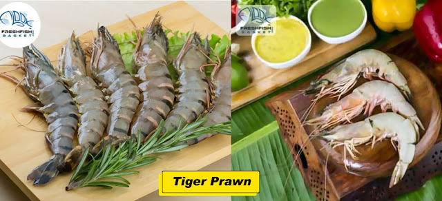 Tiger Prawn / Bagda Chingri