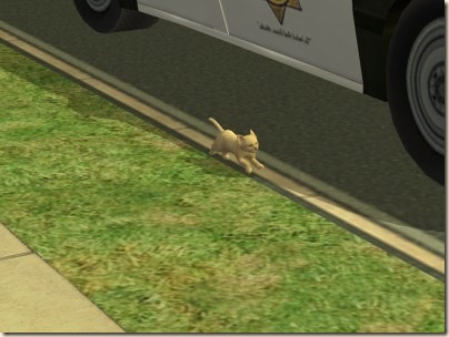 snapshot_d9e41dae_de799492