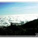View album