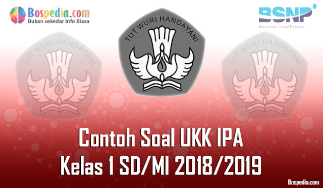 Lengkap - Contoh Soal UKK IPA Kelas 1 SD/MI 2018/2019