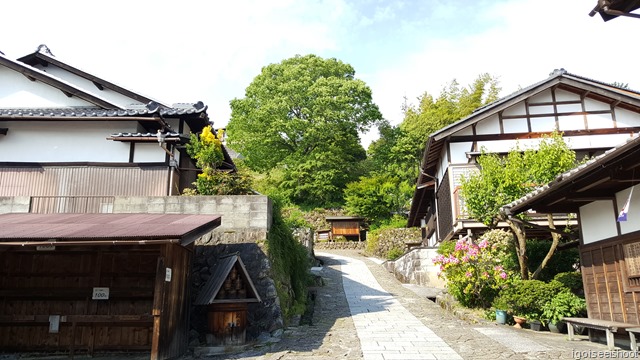  Nakasendo 