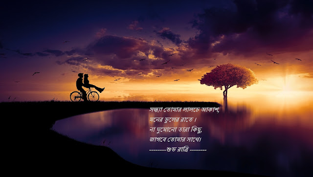 Good Night Image Bengali