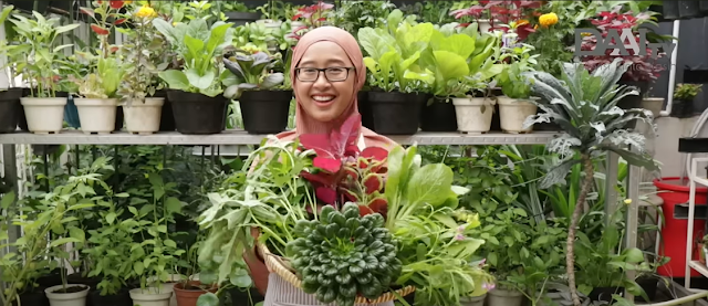 Cara Membuat Food Garden: Kebutuhan Dapur Dipetik Semua di Halaman Rumah