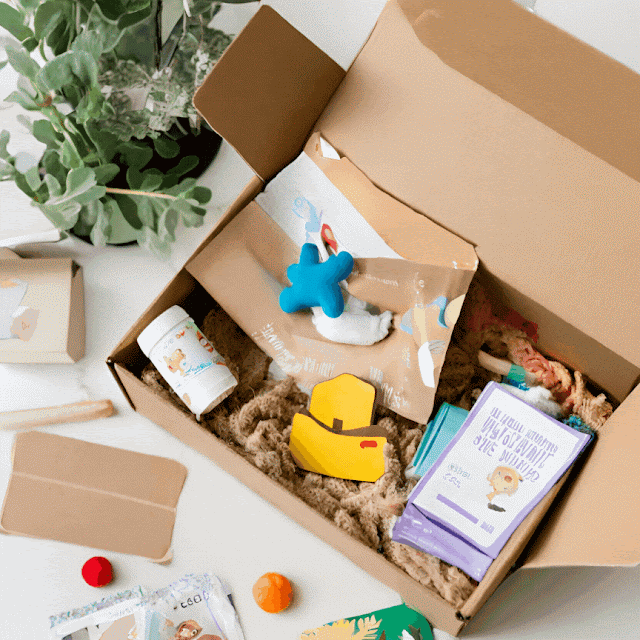 Toddler Subscription Box Gift