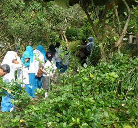 Agrowisata Kebun Tanaman Obat Leuwiliang Karyasari Bogor