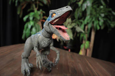 Jurassic World Toys Alpha Training Blue Velociraptor, You Can Train Your Own Raptor With Handheld Remote