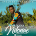 Audio | Mr nana - Nilonae | Mp3 Download