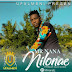 Audio | Mr nana - Nilonae | Mp3 Download