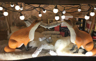 Pic of two foxes pulling a Christmas cracker with their teeth