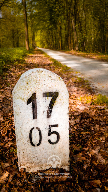 Gdzieś na ścieżce rowerowej poprowadzonej trasą dawnej wąskotorówki