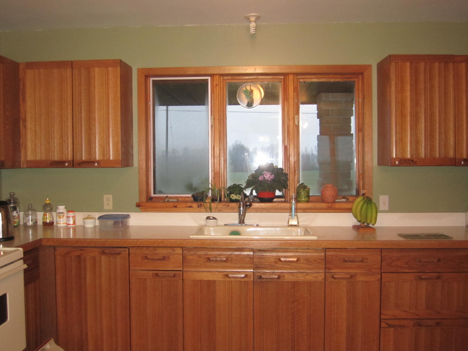 Kitchen With Green Walls