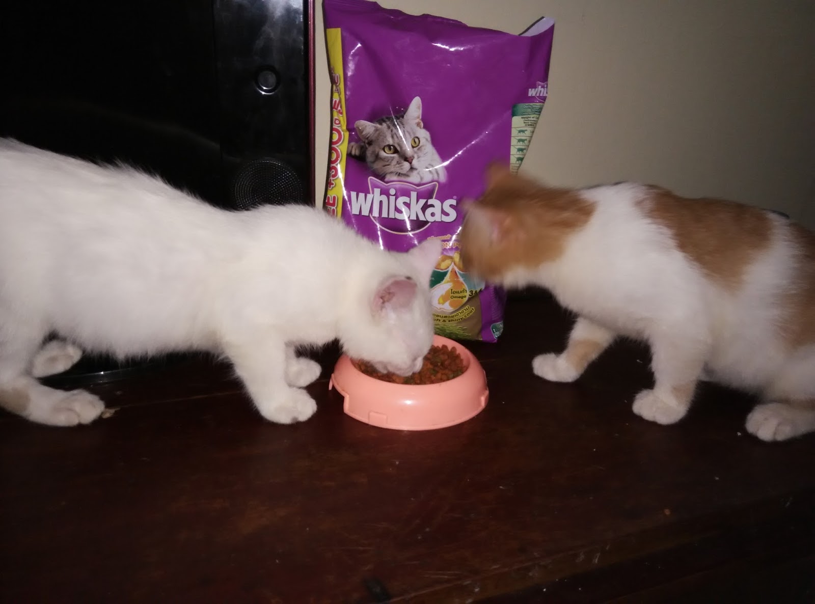 Whiskas - Kucing Comel