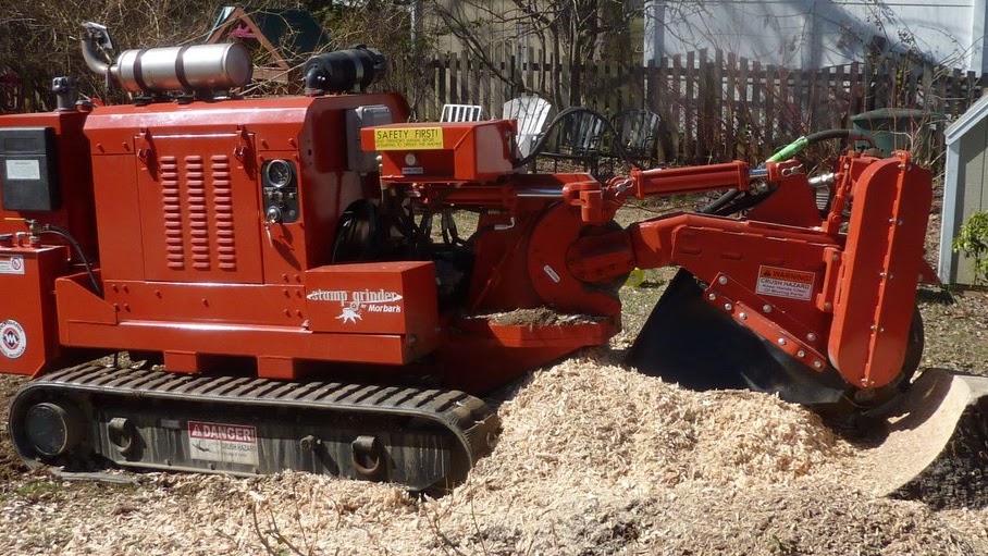 Arnold, Maryland - Tree Service Annapolis Md