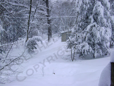 Picture of snow covered yard during snowstorm
