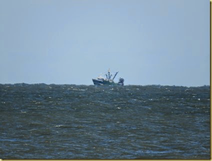 Ocean City (17)