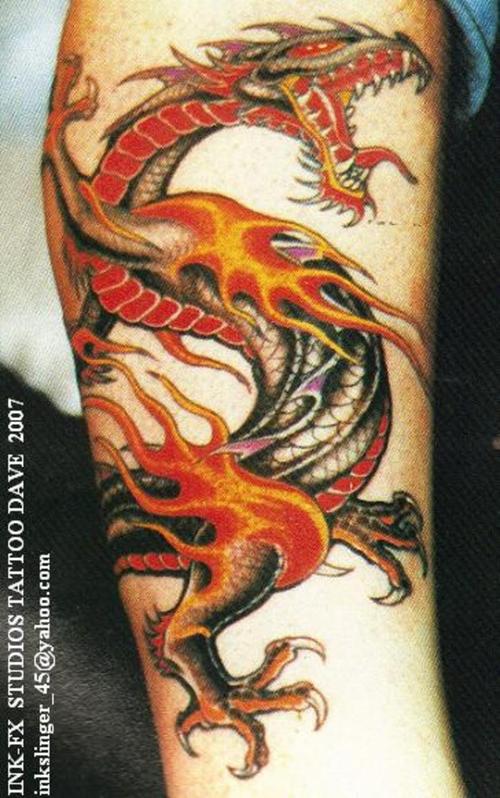 Free Tattoo Designs and Picture Gallery gallery tattoo dragon: dragon tattoo