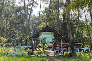 Sumber Randu Pinus Ranuyoso