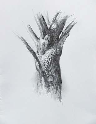 tree drawing simple. Tree Trunk Study