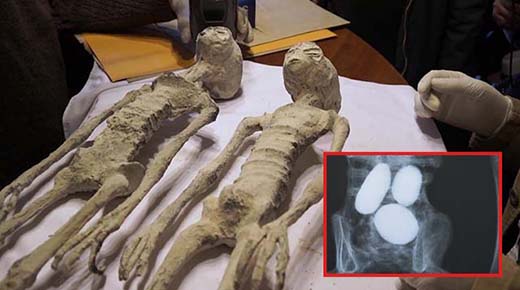 Anuncio importante sobre las momias peruanas de tres dedos, posiblemente extraterrestres