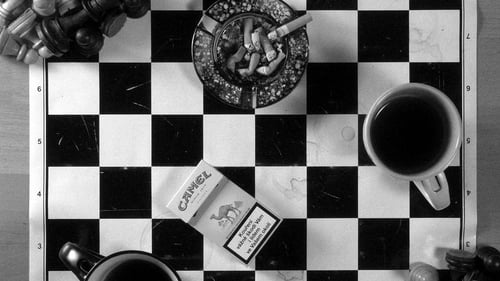 Coffee and Cigarettes 2003 pelicula completa