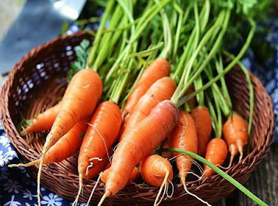 Những củ cà rốt thu hoạch