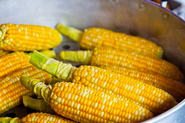 Harga jagung Sumbawa anjlok, Gubernur ajak petani berdoa