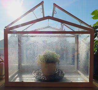 sundew greenhouse