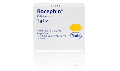 How Long Does It Take for a Rocephin Shot to Work