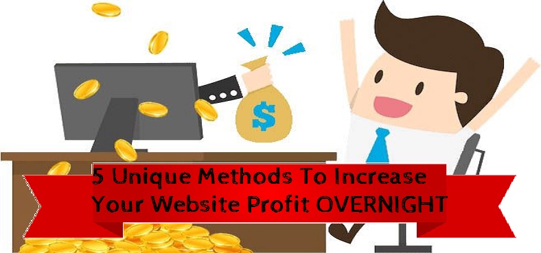 website revenue generation