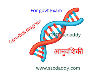 Genetics Meaning in Hindi