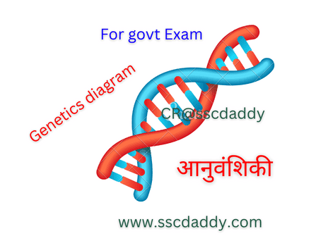 Genetics Meaning in Hindi