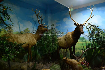 Rahmat International Wildlife Museum & Gallery wisata medan