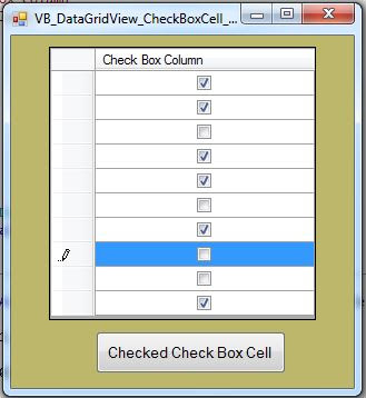 vb datagridview check box checked