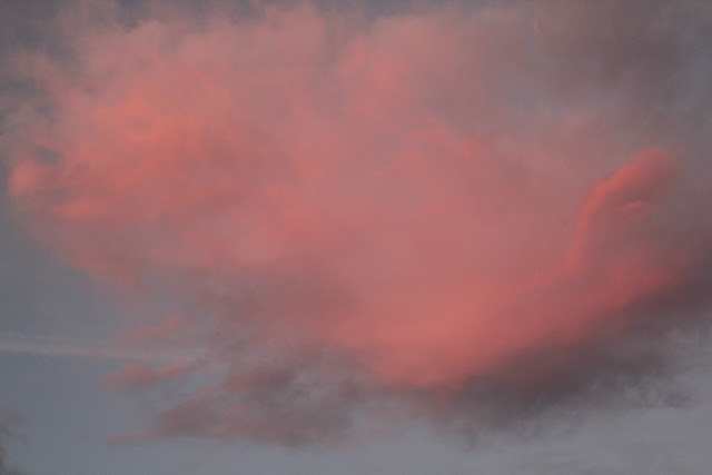 pink and blue grey sky - Wish List: Catherine Masi