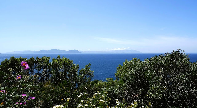 Costa degli Etruschi in May - Via dei Cavaleggeri