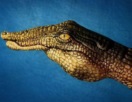 Keren, Seni Lukis Pada Tangan Karya Guido Daniele