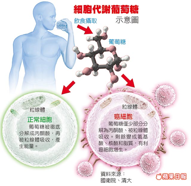 疾病的起因和預防