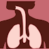 INTRODUCTION TO RESPIRATORY  SYSTEM : parts of respiratory system -pharmacyteach