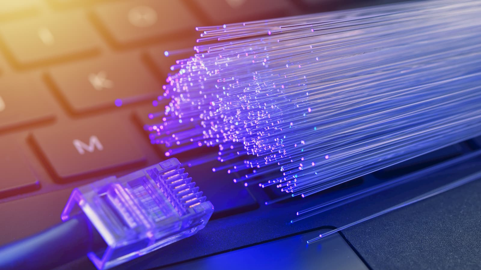 Enabling the Future: Understanding the Uses of Fiber Optic Cables