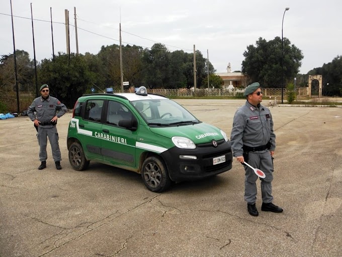 Lavello: sequestrato un deposito incontrollato di rifiuti