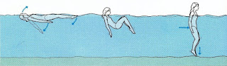 Image of Recovering From a back float: This article is about floating In Swimming