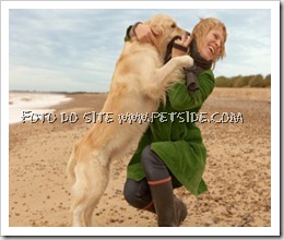 dog-jumping