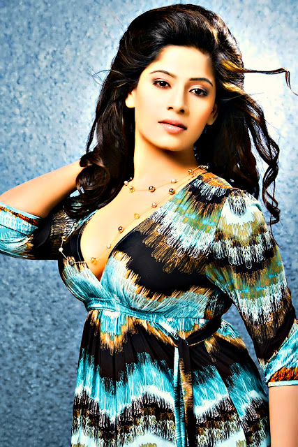South Indian Actress Meenal Hot Photoshoot