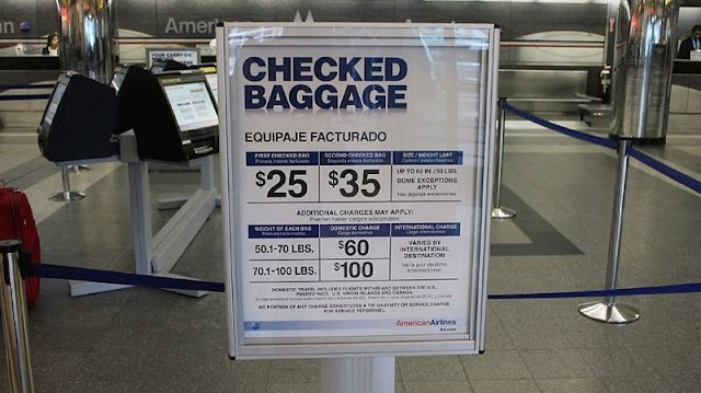 American Airlines checked luggage