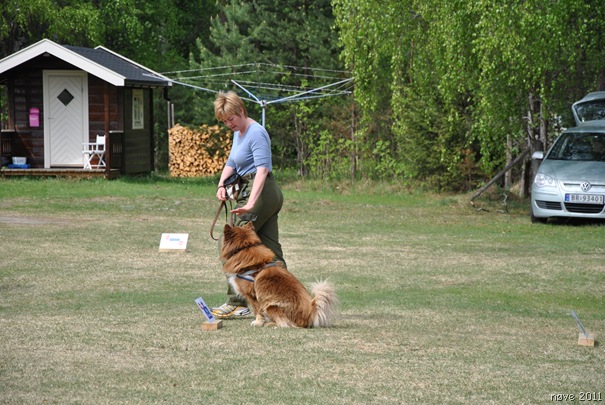 dag 2 033