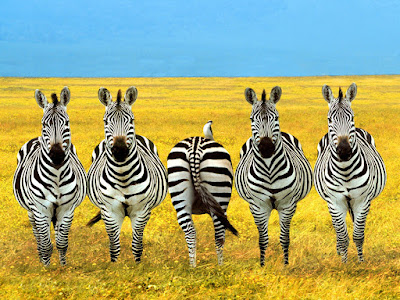 Be different! 