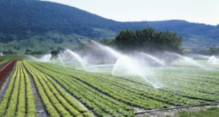 Solar Irrigation Pump To Boost Farming