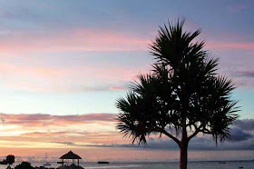 tree, cabana,beach,silhouette